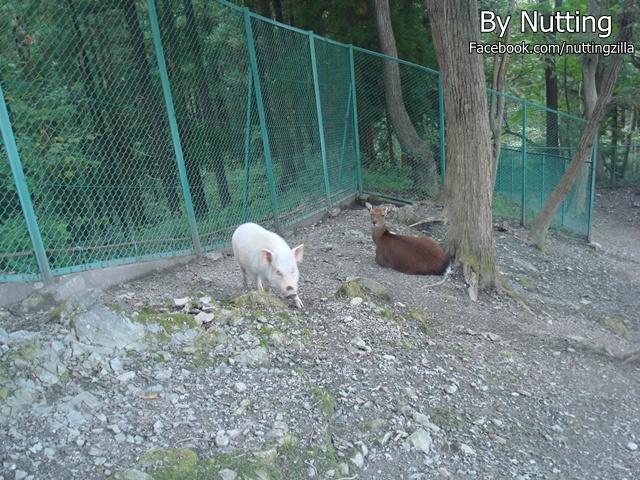 DSC04042.JPG